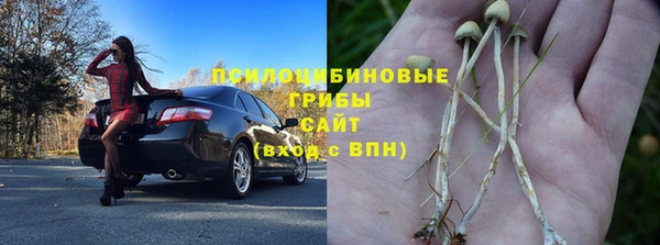 твердый Козловка