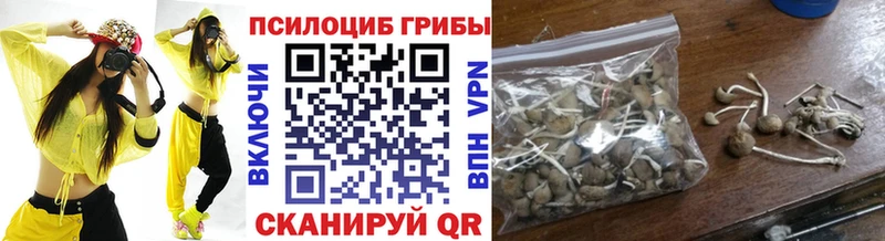 Псилоцибиновые грибы прущие грибы  Купить где  Багратионовск 